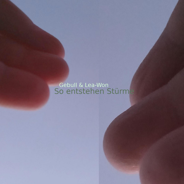 So entstehen Stürme cover