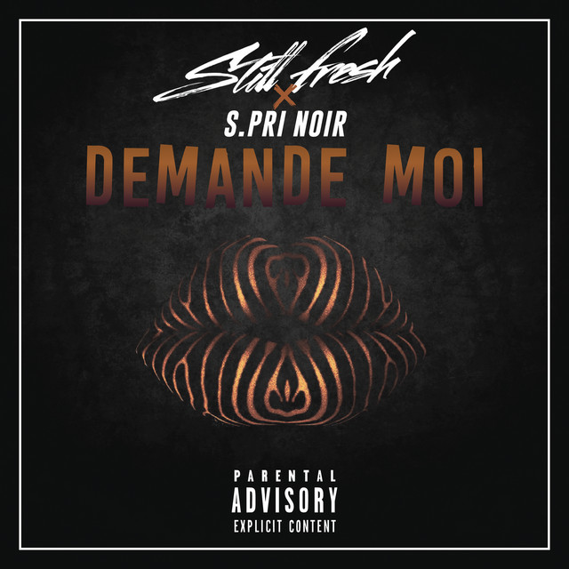 Demande-moi (feat. S.Pri Noir)
