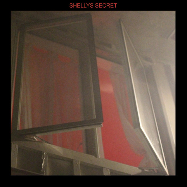 Shelly's Secret cover art