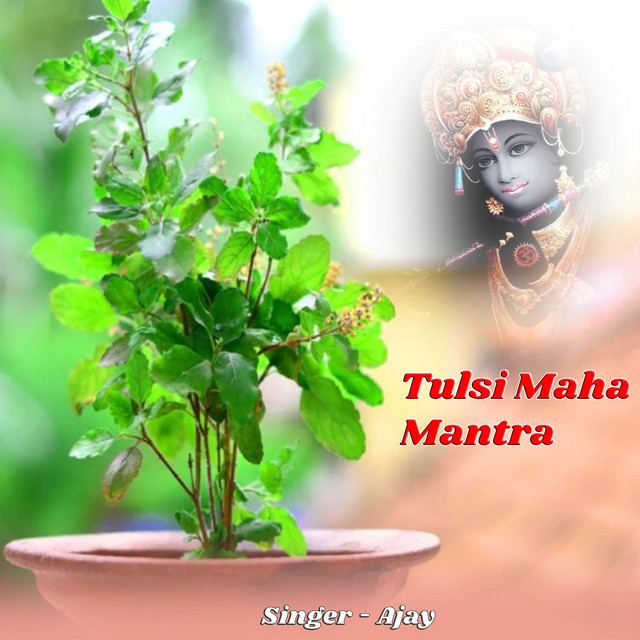 Tulsi Maha Mantra cover art