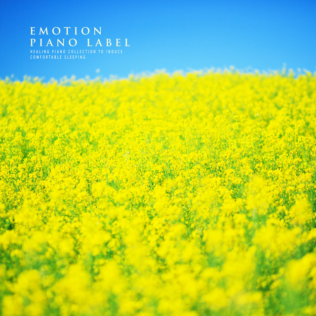 Healing Piano Collection To Induce Comfortable Sleeping - Compilation ...