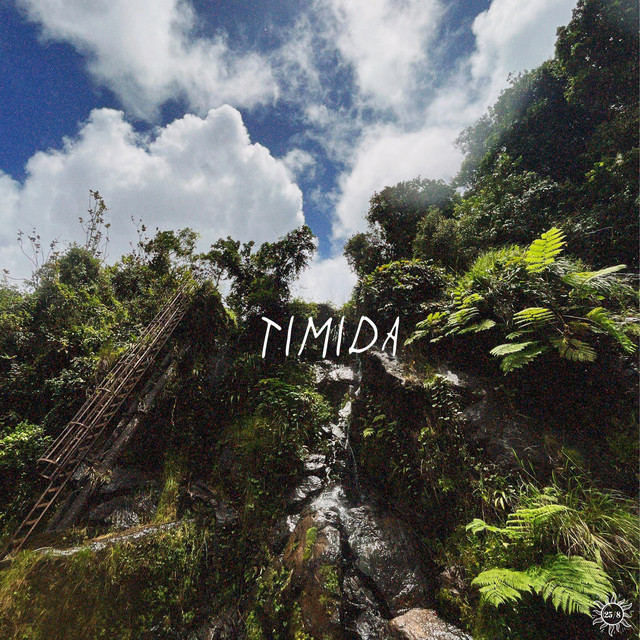 timida cover art