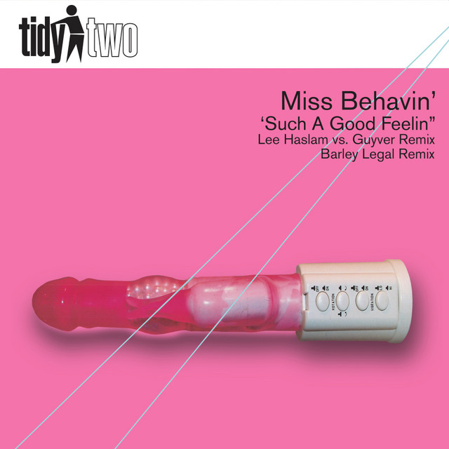Such A Good Feelin' - Lee Haslam vs Guyver Remix