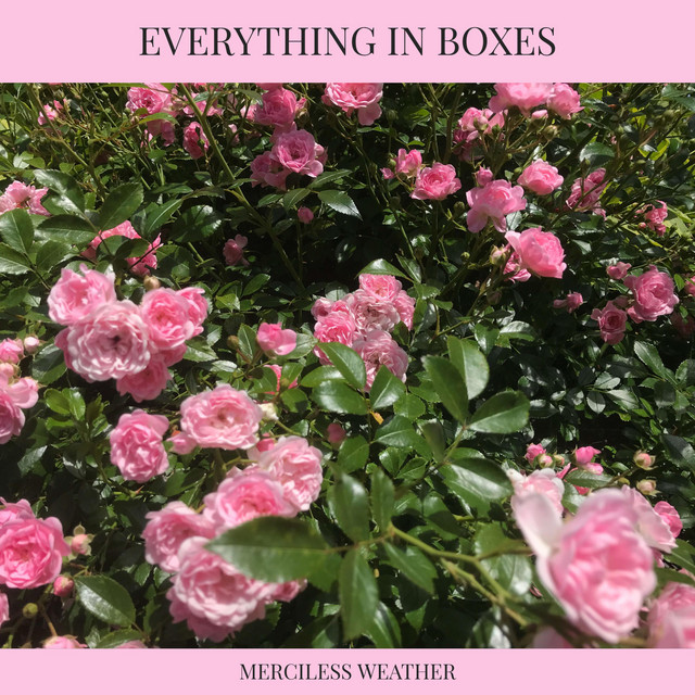 Merciless Weather cover