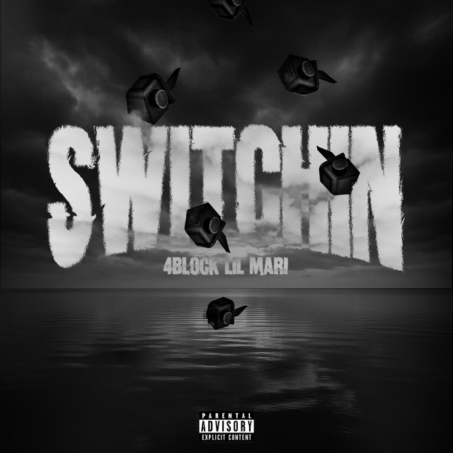 Switchin cover art