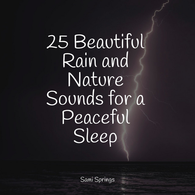 25 Beautiful Rain and Nature Sounds for a Peaceful Sleep - Album by ...