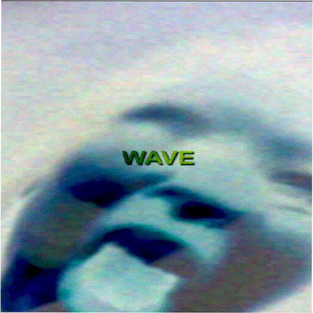 Wave cover art