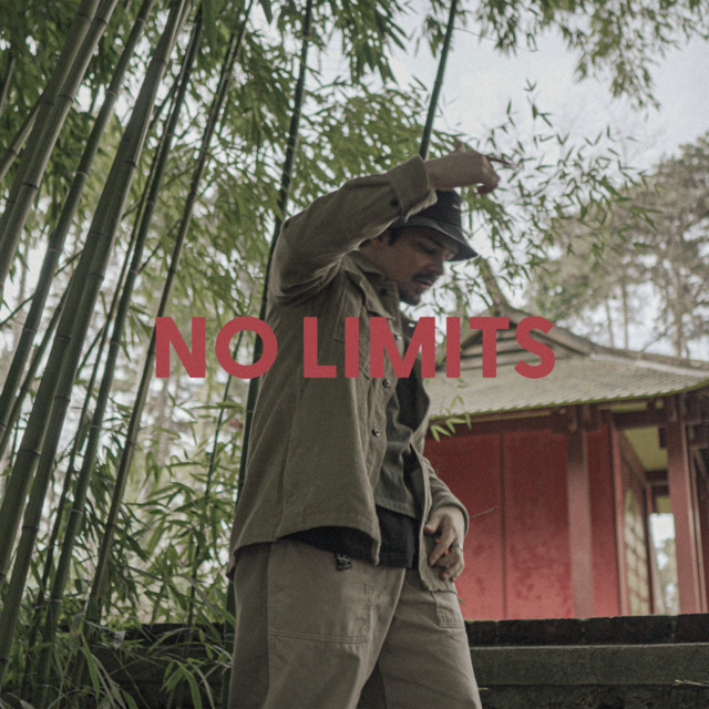 No Limits cover art