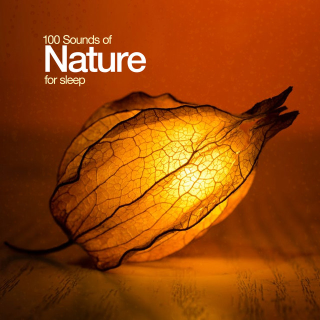 100 Sounds of Nature for Sleep - Album by Nature Sounds Nature Music ...