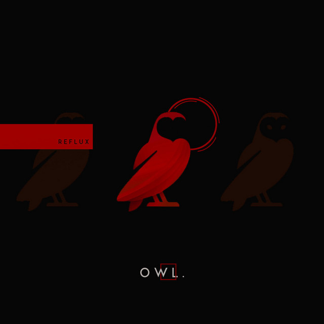 Owl. cover art