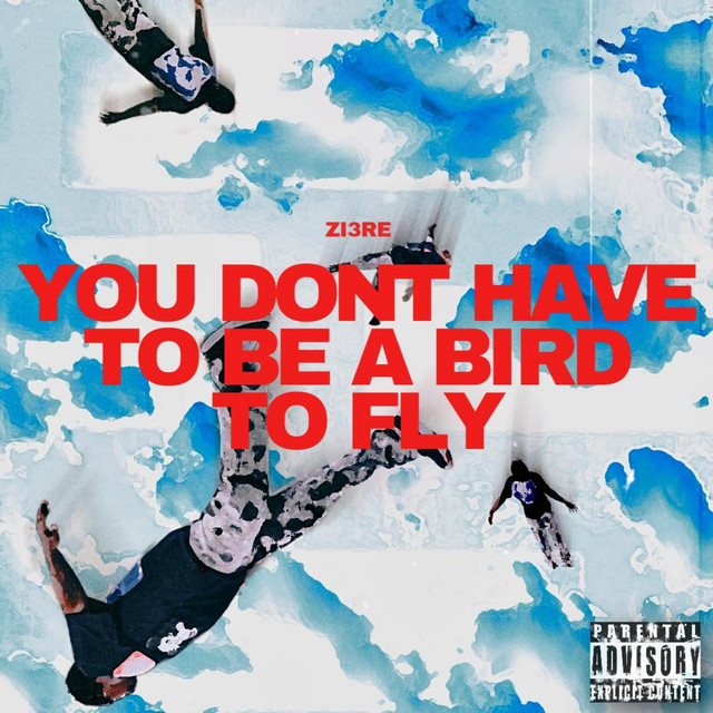 YOU DONT HAVE TO BE A BIRD TO FLY cover art