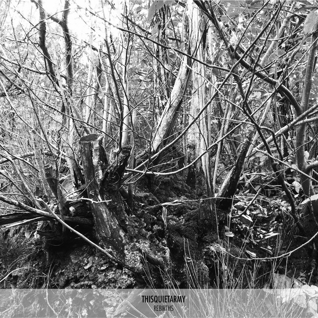 Rebirths cover art