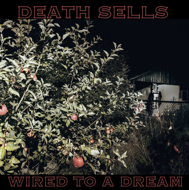Wired To A Dream cover art