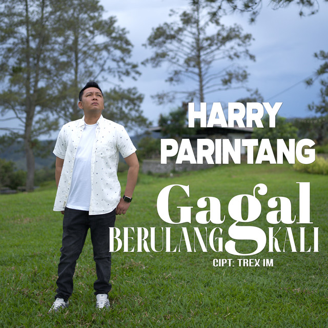 Harry Parintang - Gagal Berulang Kali album image