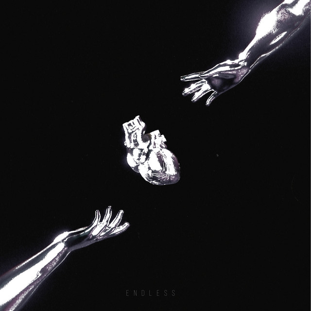 ENDLESS cover art