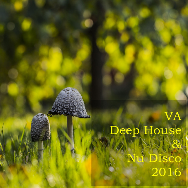 Deep House & Nu Disco 2016 cover art