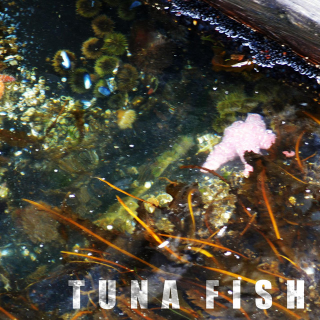 Dead $ea - Album by Tuna Fish | Spotify