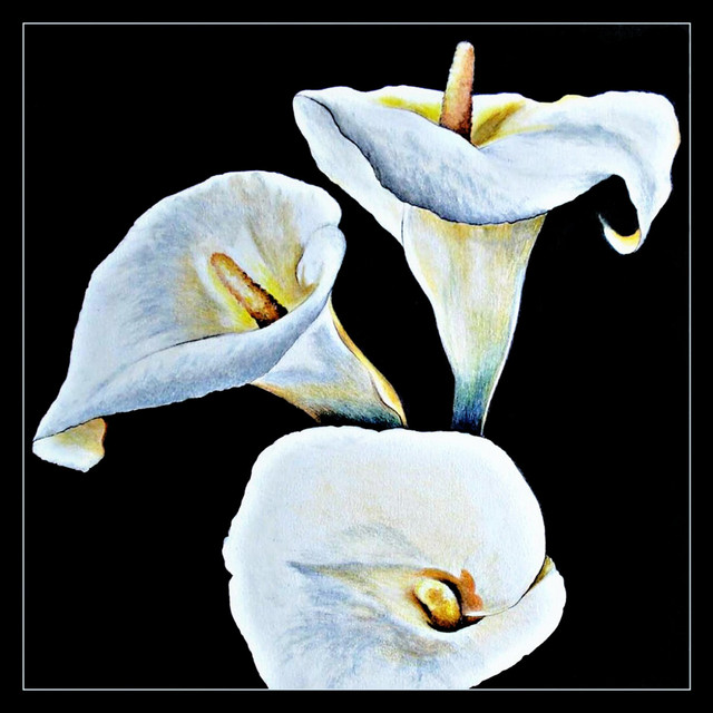 Carmen cover art