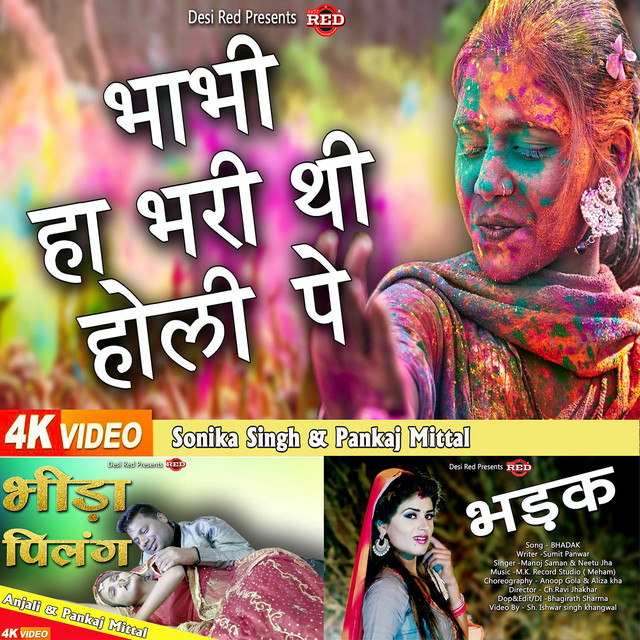 Desi Red Studio