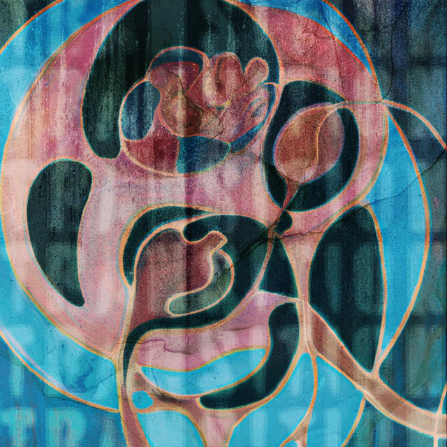 transition cover art
