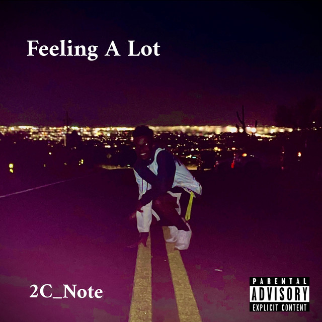 Feeling A Lot cover art