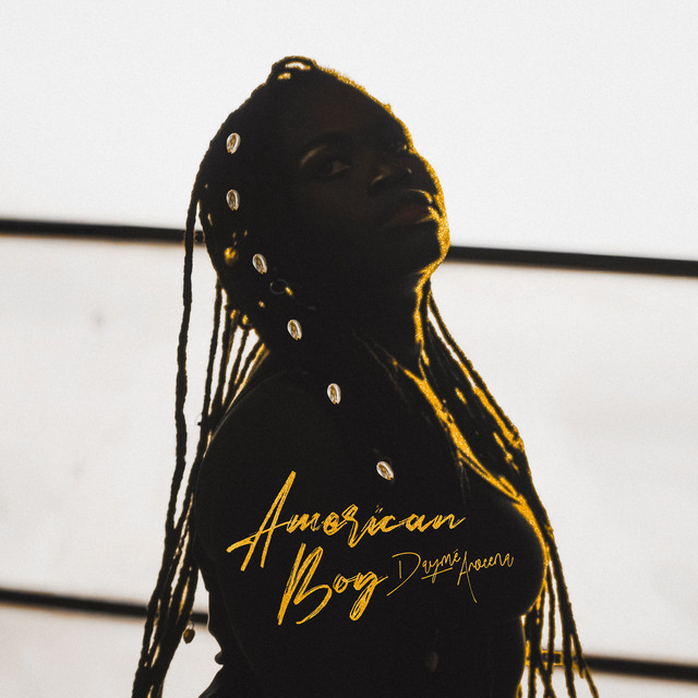 Cover du titre American Boy