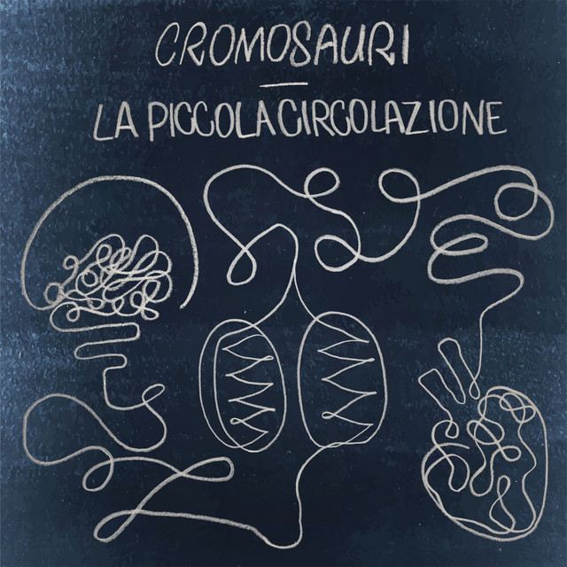 La piccola circolazione cover art