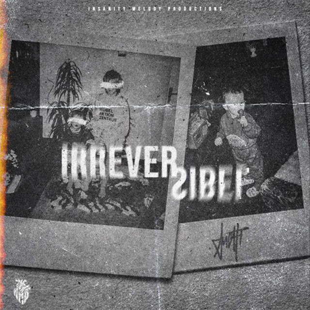 Irreversibel cover