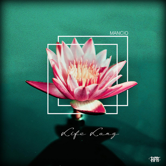 Life Long cover art