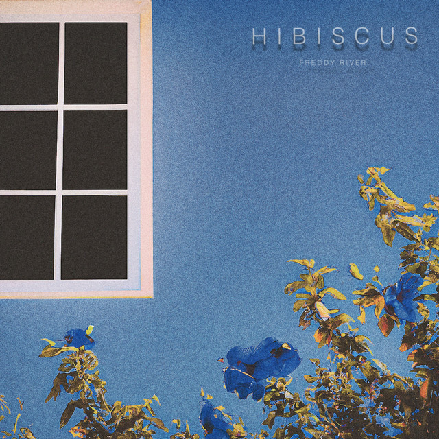 Hibiscus cover art