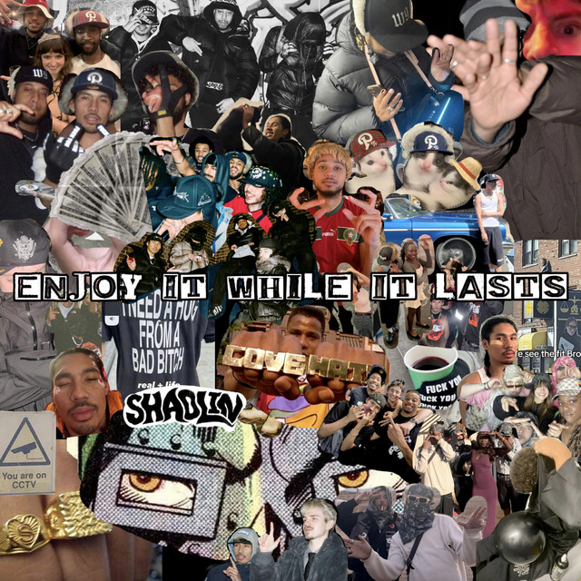 enjoyitwhileitlasts cover art