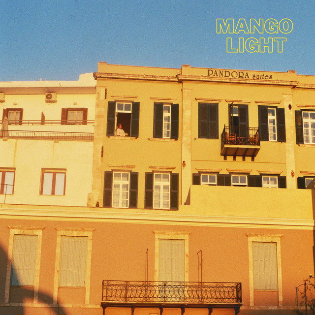 mango light cover