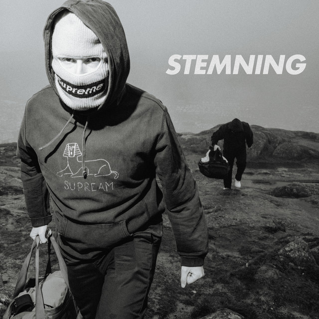 STEMNING cover art