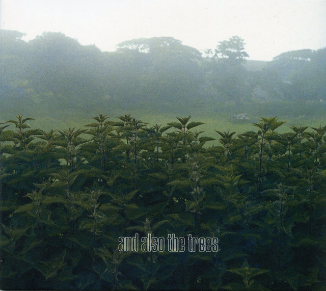 Also Angelfish 洋楽 And CD The Trees