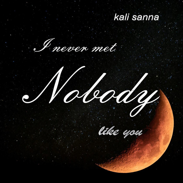 I Never Met Nobody Like You - Single by Kali Sanna | Spotify