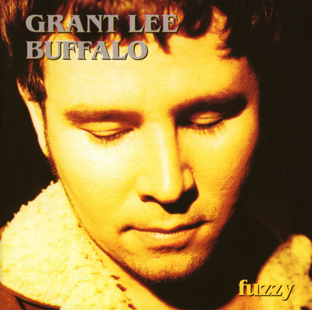 Fuzzy cover art