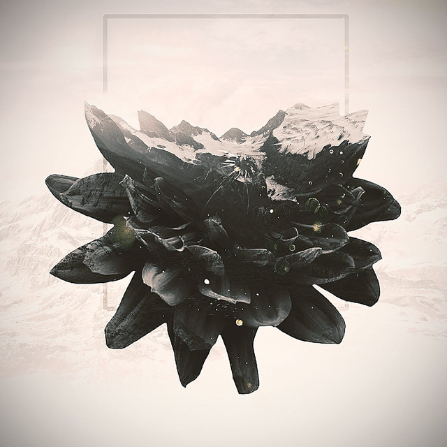 Catharsis cover