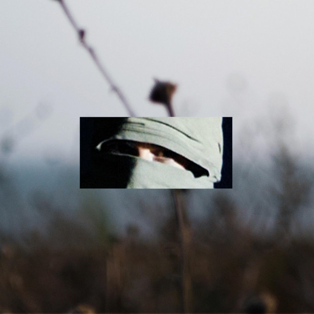 Dry cover art