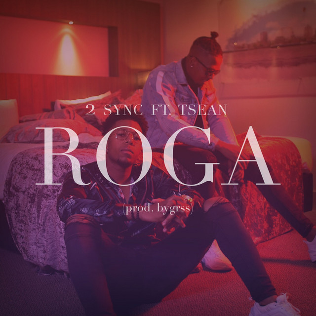 ROGA cover art