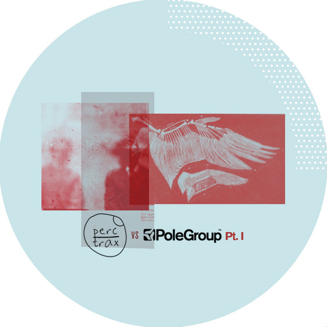 PercTrax vs PoleGroup Part I cover art