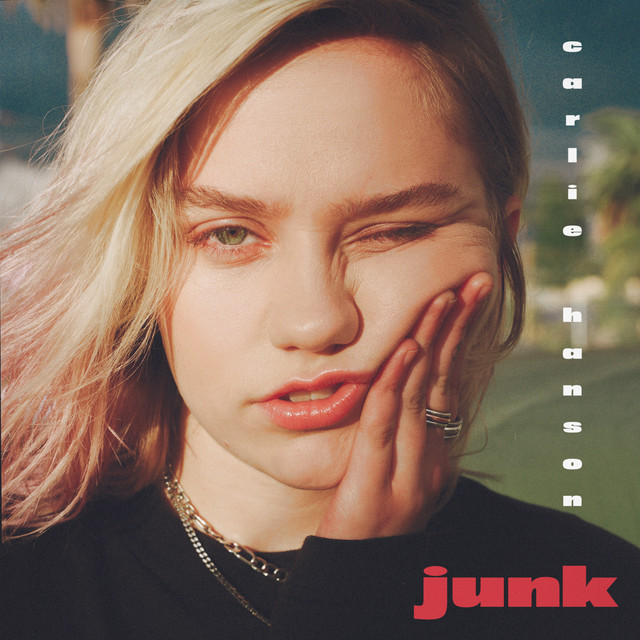 Junk cover art