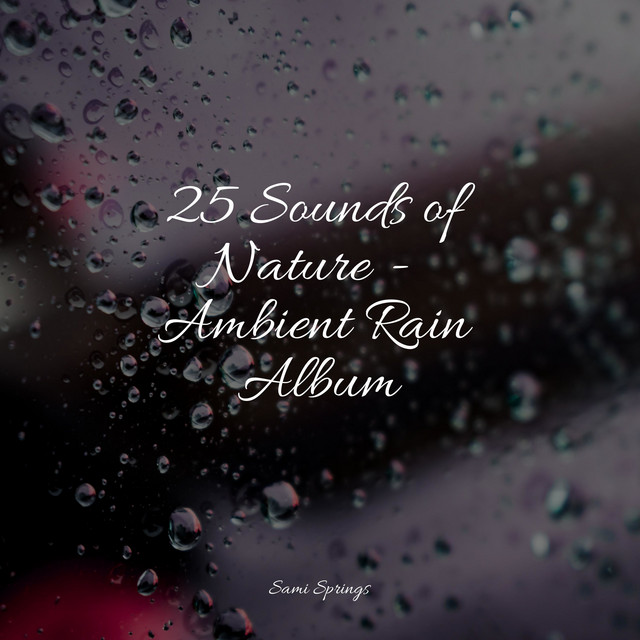 25 Sounds of Nature - Ambient Rain Album - Album by Yoga Music | Spotify