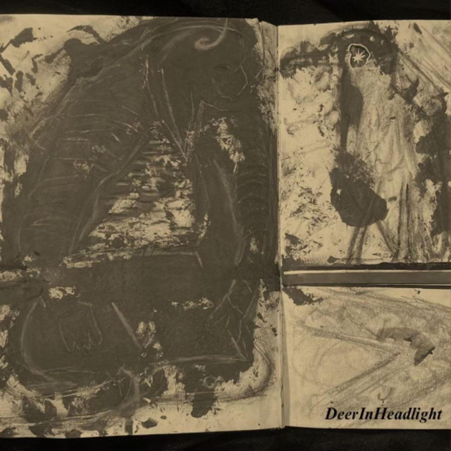 DeerinHeadlight. cover art
