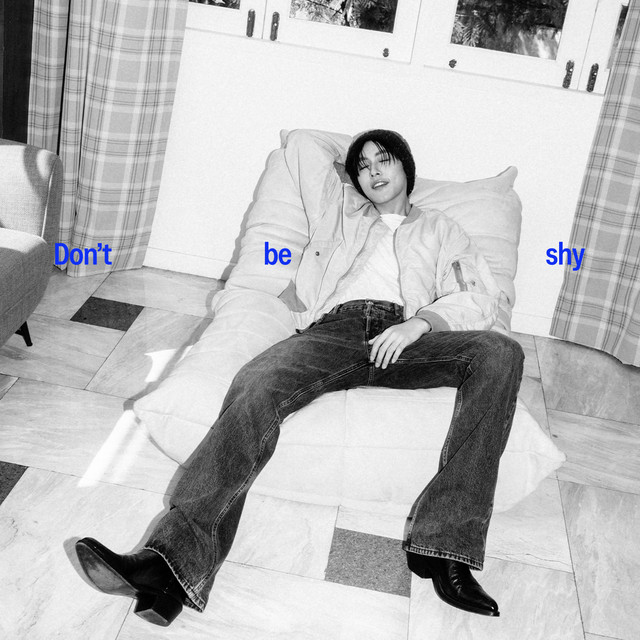 Don't be shy cover art