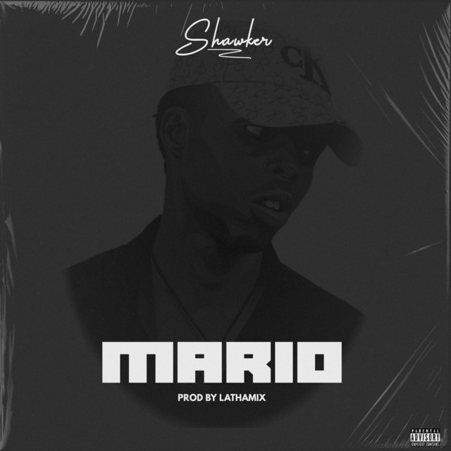 Mario cover art