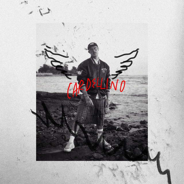 Cardellino cover art