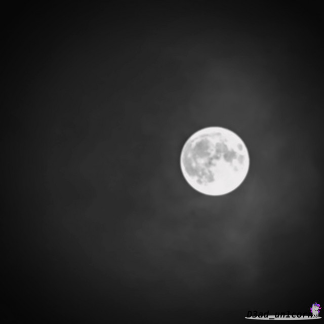 give u the moon cover art