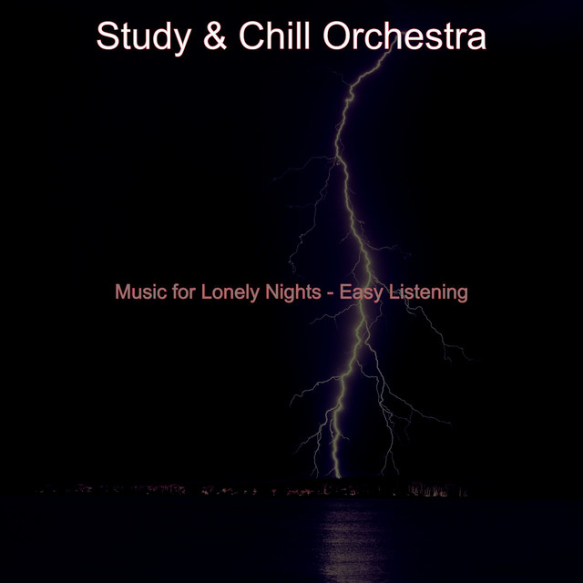 Chill Orchestra Photo