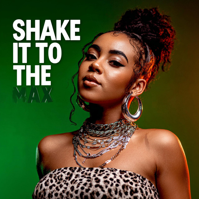 Shake It To The Max - Techno Edit