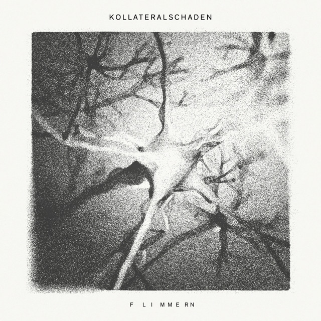 Flimmern cover